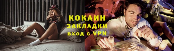 стаф Горняк