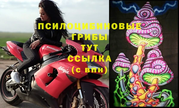 стаф Горняк