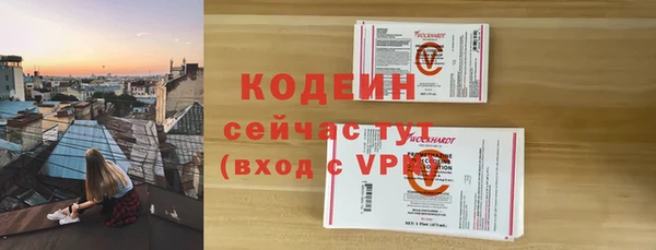 шишки Горнозаводск