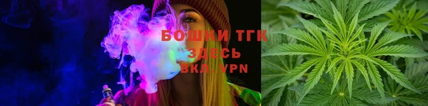 стаф Горняк