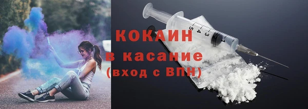 стаф Горняк