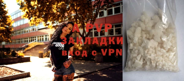 шишки Горнозаводск