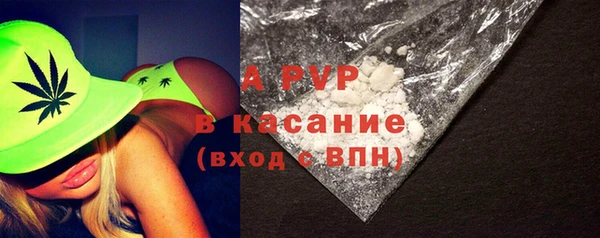 стаф Горняк