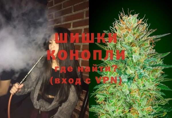 молекула духа Сосновоборск