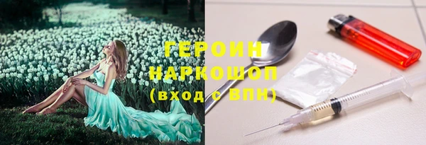 стаф Горняк